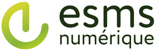 Logo Programme ESMS numérique