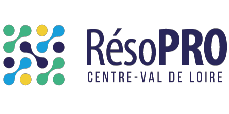 Logo RésoPRO - GIP e-Santé CVL